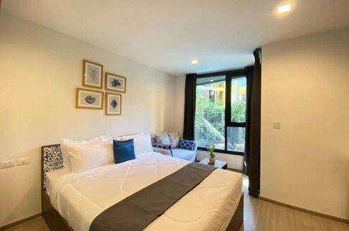 1 Bedroom Condo for rent in THE BASE Central-Phuket, Wichit, Phuket