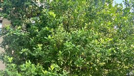 6 Bedroom Townhouse for sale in Biz Galleria, Nuan Chan, Bangkok