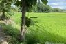 Land for sale in San Kamphaeng, Chiang Mai