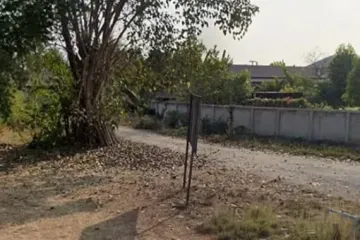 Land for sale in Thung Tom, Chiang Mai