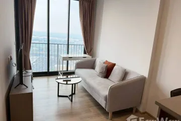 1 Bedroom Condo for rent in OKA HAUS Sukhumvit 36, Khlong Tan, Bangkok near BTS Thong Lo