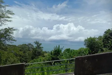 Land for sale in Kamala, Phuket