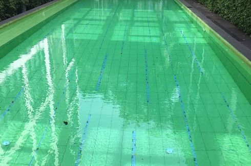 2 Bedroom Condo for rent in Qube Sukhumvit soi 46, Phra Khanong, Bangkok near BTS Phra Khanong