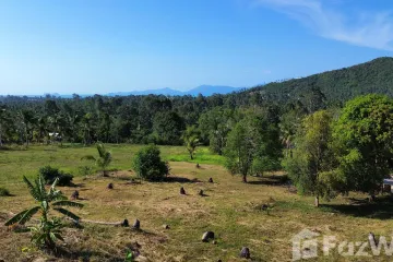 Land for sale in Mae Nam, Surat Thani
