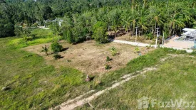 Land for sale in Mae Nam, Surat Thani