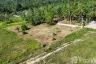 Land for sale in Mae Nam, Surat Thani