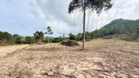 Land for sale in Mae Nam, Surat Thani