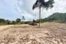 Land for sale in Mae Nam, Surat Thani