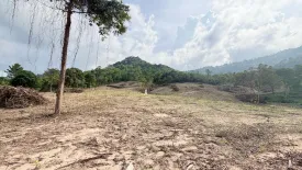 Land for sale in Mae Nam, Surat Thani