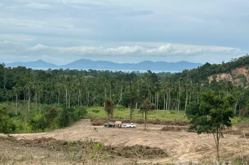 Land for sale in Mae Nam, Surat Thani