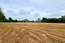 Land for sale in Na Jomtien, Chonburi