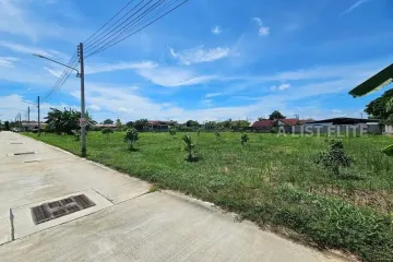 Land for sale in Nong Prue, Chonburi