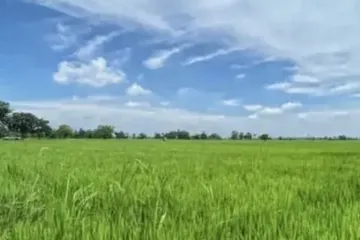 Land for sale in Don Kok, Buriram