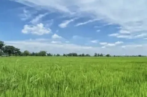 Land for sale in Don Kok, Buriram