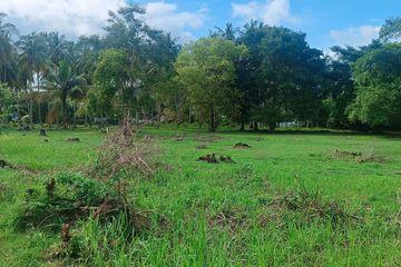 Land for sale in Na Mueang, Surat Thani