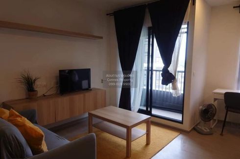 1 Bedroom Condo for rent in Aspire Sukhumvit-Onnut, Suan Luang, Bangkok near BTS On Nut