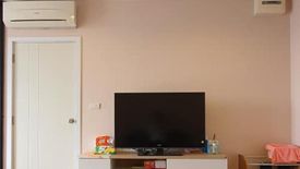 1 Bedroom Condo for rent in The Tree Interchange, Bang Sue, Bangkok near MRT Tao Poon