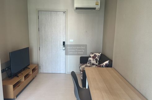 1 Bedroom Condo for rent in Rhythm Sukhumvit 36 - 38, Phra Khanong, Bangkok near BTS Thong Lo