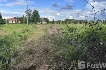 Land for sale in The Nature Home Chiangmai, Han Kaeo, Chiang Mai