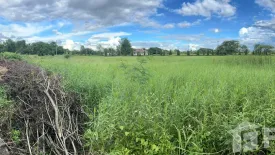 Land for sale in The Nature Home Chiangmai, Han Kaeo, Chiang Mai