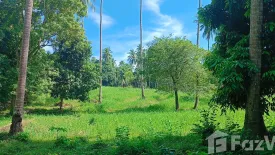 Land for sale in Mae Nam, Surat Thani