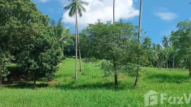 Land for sale in Mae Nam, Surat Thani