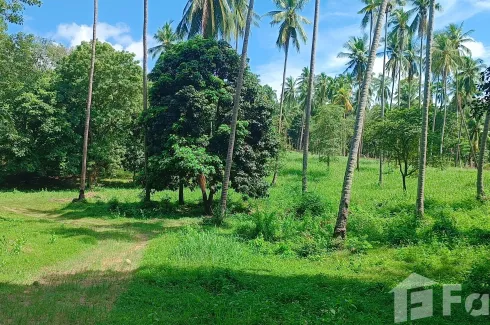 Land for sale in Mae Nam, Surat Thani