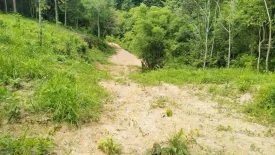 Land for sale in Choeng Thale, Phuket