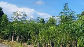 Land for sale in Thep Krasatti, Phuket