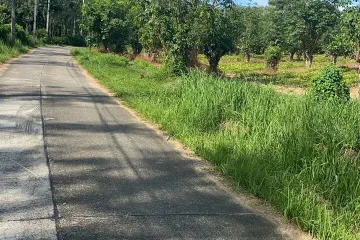 Land for sale in Thep Krasatti, Phuket