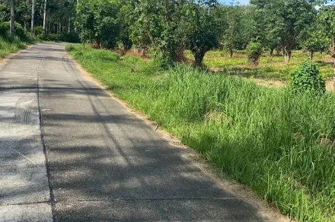 Land for sale in Thep Krasatti, Phuket