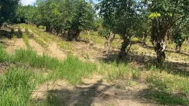 Land for sale in Thep Krasatti, Phuket