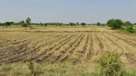 Land for sale in Sai Huai Kaeo, Lopburi