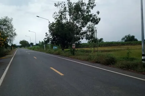 Land for sale in Sai Huai Kaeo, Lopburi