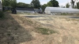 Land for sale in Nam Phrae, Chiang Mai