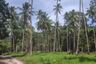 Land for sale in Taling Ngam, Surat Thani