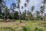 Land for sale in Taling Ngam, Surat Thani