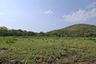 Land for sale in Hua Hin, Prachuap Khiri Khan