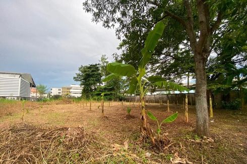 Land for sale in Thawi Watthana, Bangkok