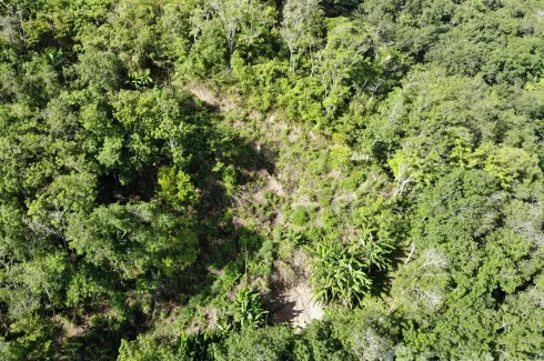 Land for sale in Patong, Phuket