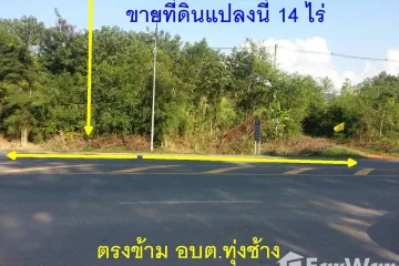 Land for sale in Thung Chang, Nan