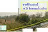 Land for sale in Thung Chang, Nan
