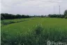 Land for sale in Phok Ruam, Sing Buri