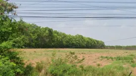 Land for sale in Nong Prue, Chonburi