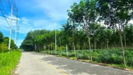 Land for sale in Maenam Khu, Rayong
