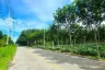 Land for sale in Maenam Khu, Rayong