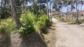 Land for sale in Taling Ngam, Surat Thani