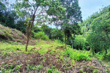 Land for sale in Maret, Surat Thani