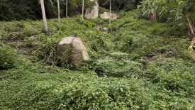 Land for sale in Maret, Surat Thani