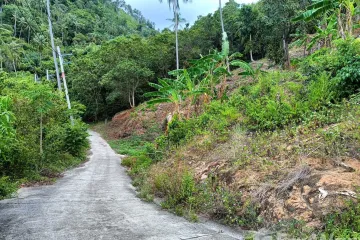 Land for sale in Maret, Surat Thani